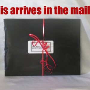 May include: A rectangular package wrapped in black paper, tied with a red ribbon. A white label with black text is affixed to the front. The text at the top reads, "This arrives in the mail..."