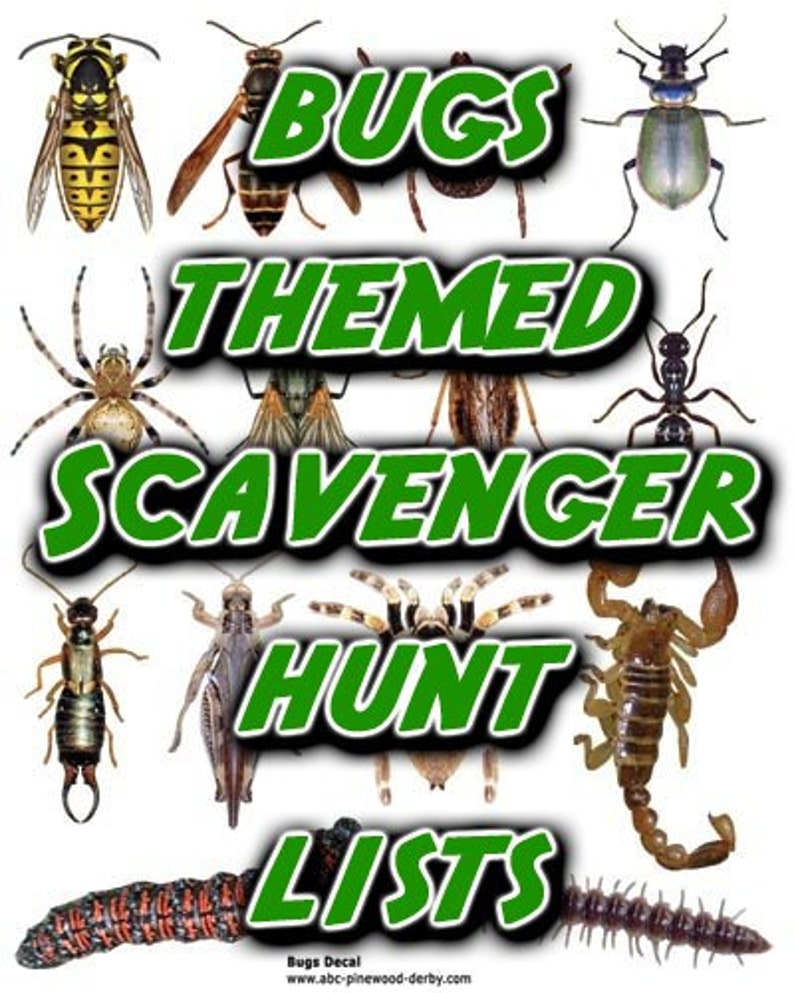 Bugs Themed Scavenger Hunt List Collection image 1
