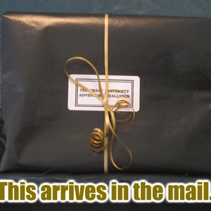 May include: A black package wrapped in glossy paper, tied with a gold ribbon and bow. A white label with black text reads "THE GREAT UNIVERSITY ADVENTURE CHALLENGE". The package is on a dark teal surface.