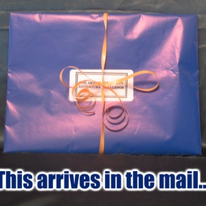 May include: A wrapped package in blue paper tied with an orange ribbon. A white label with black text is affixed to the package. The text at the bottom of the image reads, "This arrives in the mail..."