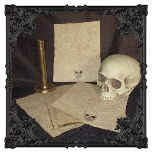 Skull  Antiqued Paper  10 Sheets image 1