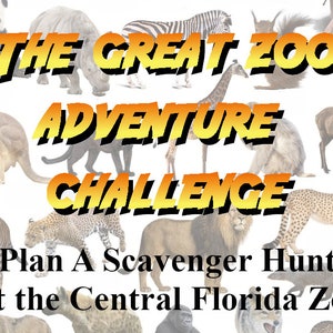 Caccia al tesoro nello zoo della Florida centrale: la grande sfida avventurosa dello zoo