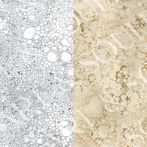 May include: Close-up of two textured surfaces. The left side is a white surface with a pattern of small, round, grey bubbles. The right side is a beige surface with a pattern of larger, round, white bubbles. The word "beautiful" is faintly visible in the background.