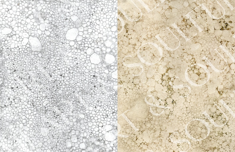 May include: Close-up of two textured surfaces. The left side is a white surface with a pattern of small, round, grey bubbles. The right side is a beige surface with a pattern of larger, round, white bubbles. The word "beautiful" is faintly visible in the background.