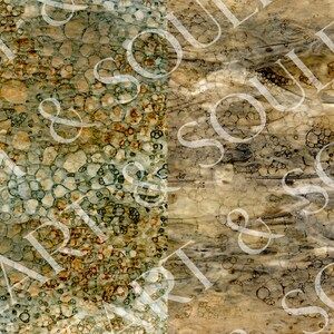 May include: Abstract background with a textured, bubbly pattern in shades of brown, green, and white. The pattern is divided into two sections, with the left side featuring a more intricate design and the right side featuring a more subtle design.