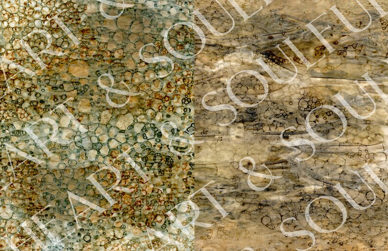May include: Abstract background with a textured, bubbly pattern in shades of brown, green, and white. The pattern is divided into two sections, with the left side featuring a more intricate design and the right side featuring a more subtle design.