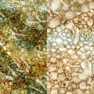 May include: Abstract background with a textured, mottled, and bubbly pattern. The left side of the image is a darker green and brown colour, while the right side is a lighter brown and white colour.
