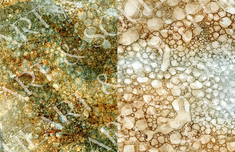 May include: Abstract background with a textured, mottled, and bubbly pattern. The left side of the image is a darker green and brown colour, while the right side is a lighter brown and white colour.