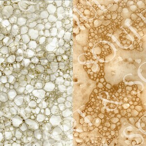 May include: Two close-up images of textured paper with a bubble-like pattern. The left image is white with light brown bubbles. The right image is brown with darker brown bubbles.