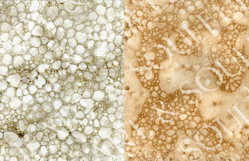 May include: Two close-up images of textured paper with a bubble-like pattern. The left image is white with light brown bubbles. The right image is brown with darker brown bubbles.