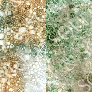 May include: Abstract background with a textured pattern of small, round shapes in shades of brown, green, and white.
