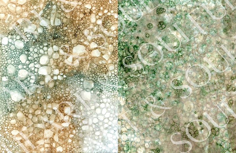 May include: Abstract background with a textured pattern of small, round shapes in shades of brown, green, and white.