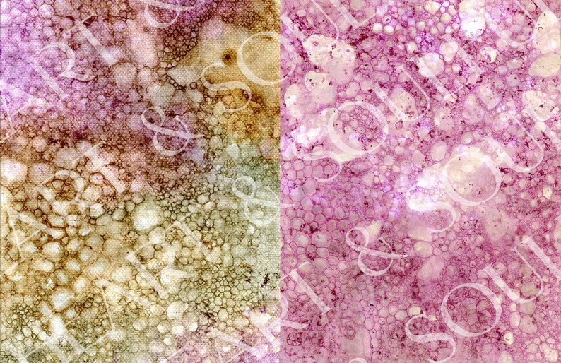 May include: Abstract digital art print with a split design. The left side is a light brown with a textured bubble pattern. The right side is a pink with a textured bubble pattern.