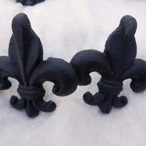 May include: Two black fleur-de-lis decorative objects. The fleur-de-lis is a stylized lily, often used in heraldry. The objects have a textured surface and are likely made of cast iron or a similar material. They are set against a white background.