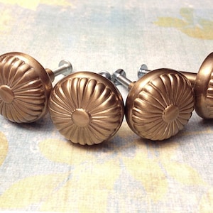 May include: Four gold-toned cabinet knobs with a decorative, fluted design. Each knob has a screw for installation.