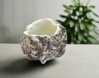 Maceta pequeña para suculentas/bonito florero de cerámica para cactus y flores