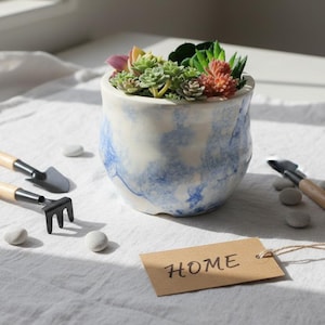 Op de afbeelding: Een keramische plantenpot met een blauw en wit marmerpatroon gevuld met diverse kleine vetplanten. Naast de pot liggen twee miniatuur tuingereedschappen met houten handvatten, diverse gladde grijze stenen en een bruin papieren label met de tekst HOME.