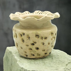 Beige Handmade Ceramic Vase - Large, Textured, Organic Shape Artisan Pottery