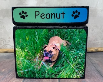 Pet Urn, Personalized Pet Urn,  Medium Pet Urn, Dog Urn, Cat Urn for ashes