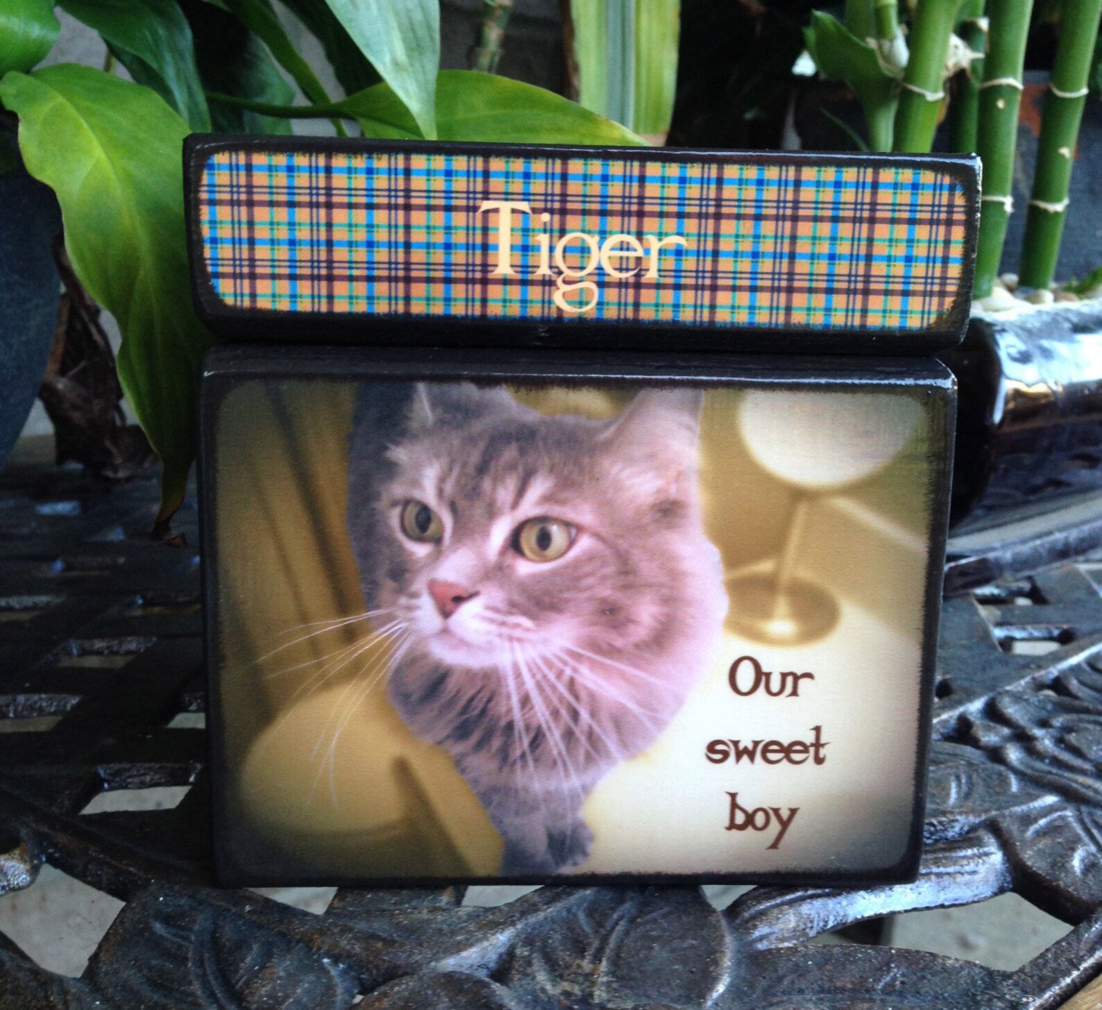 Cat Urn for Ashes, Cat Urn With Picture, Pet Urn for Cats, Small Cat Urn Etsy