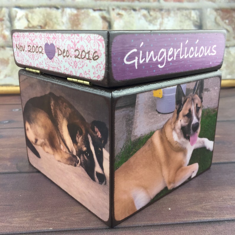 Haustier Urne für Hunde Holz Hund Urne benutzerdefinierte Etsy