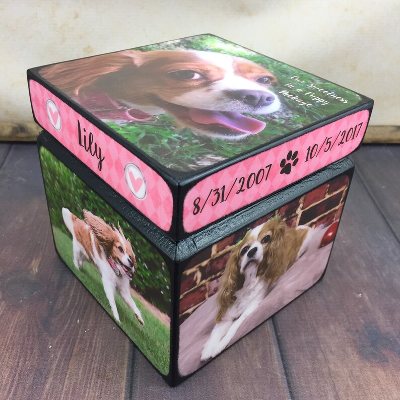 Pet Urn for Ashes Small Dog Urn with Picture Pet Memorial Wooden Pet Urn Cat Urn