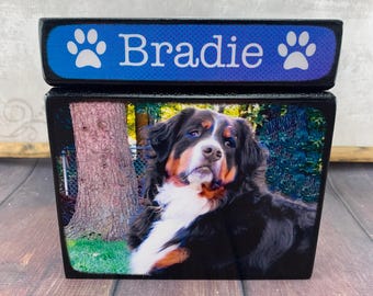 Pet Urn for Dogs, Personalized Pet Urn, Dog Pet Urn, Size Medium