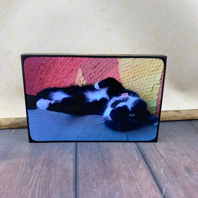 Pet memorial Plaque Photo Board 5x7 Personalized Pet Portrait Gifts