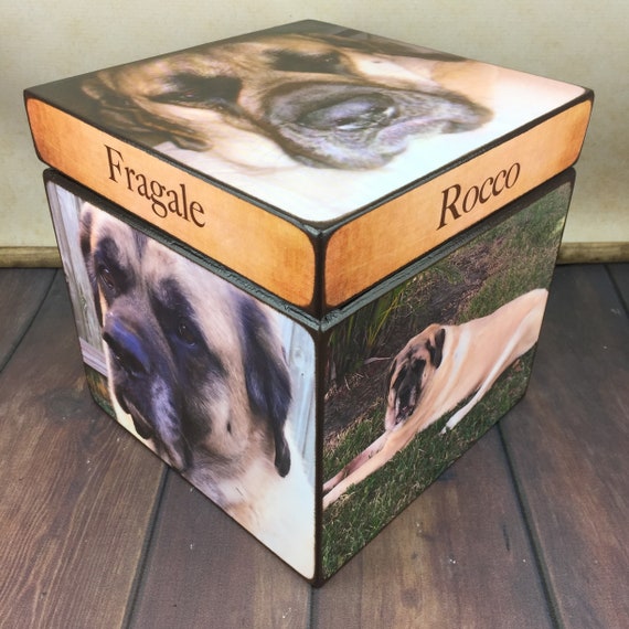 Pet urns etsy hotsell