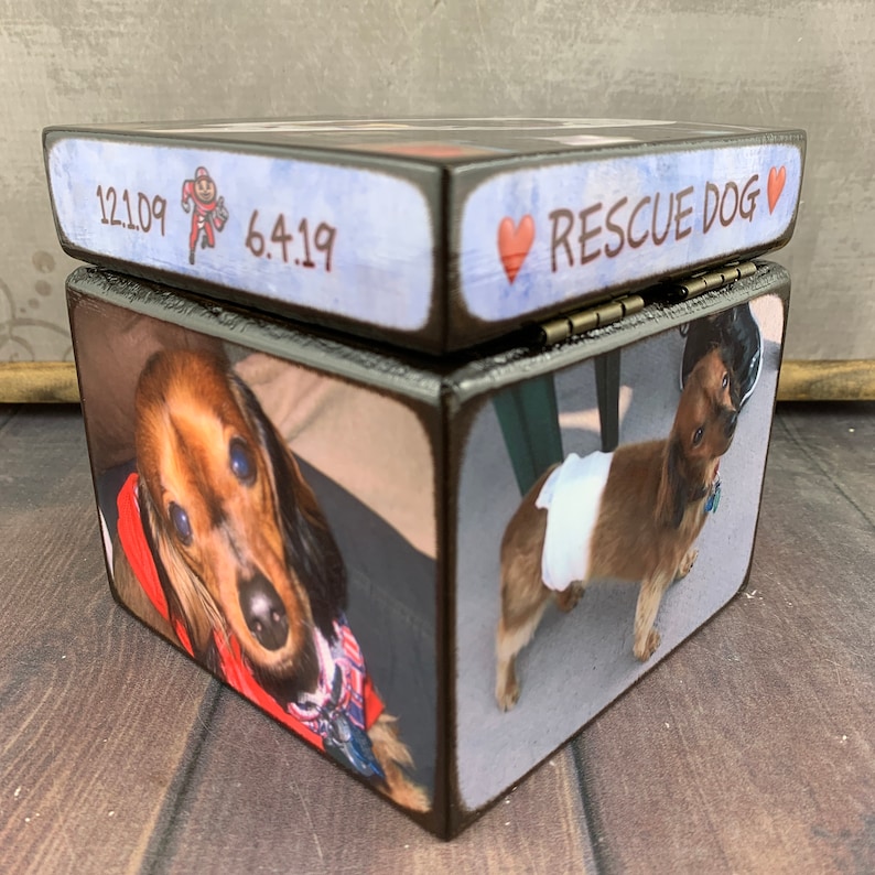 Pet Urn for Ashes Small Dog Urn with Picture Pet Memorial Wooden Pet Urn Cat Urn