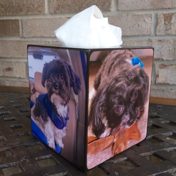 Dog Tissue Box Tissue Box With Photo s Personalized Tissue Box