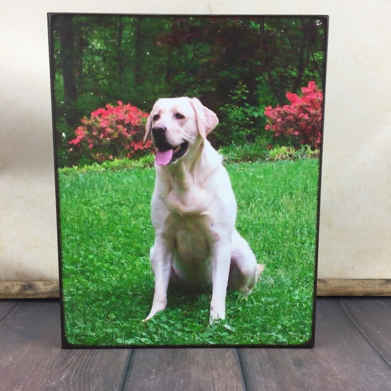 Pet memorial Plaque Photo Board 5x7 Personalized Pet Portrait Gifts