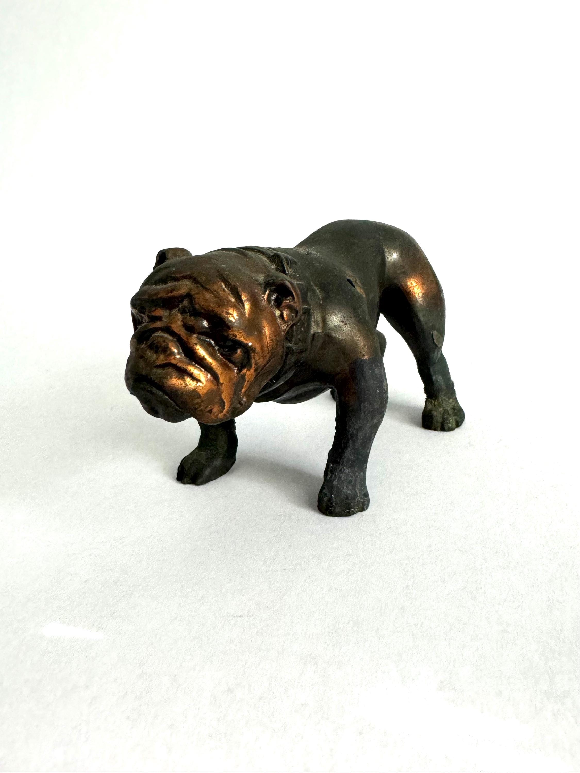 Bulldog chalkware - Etsy 日本