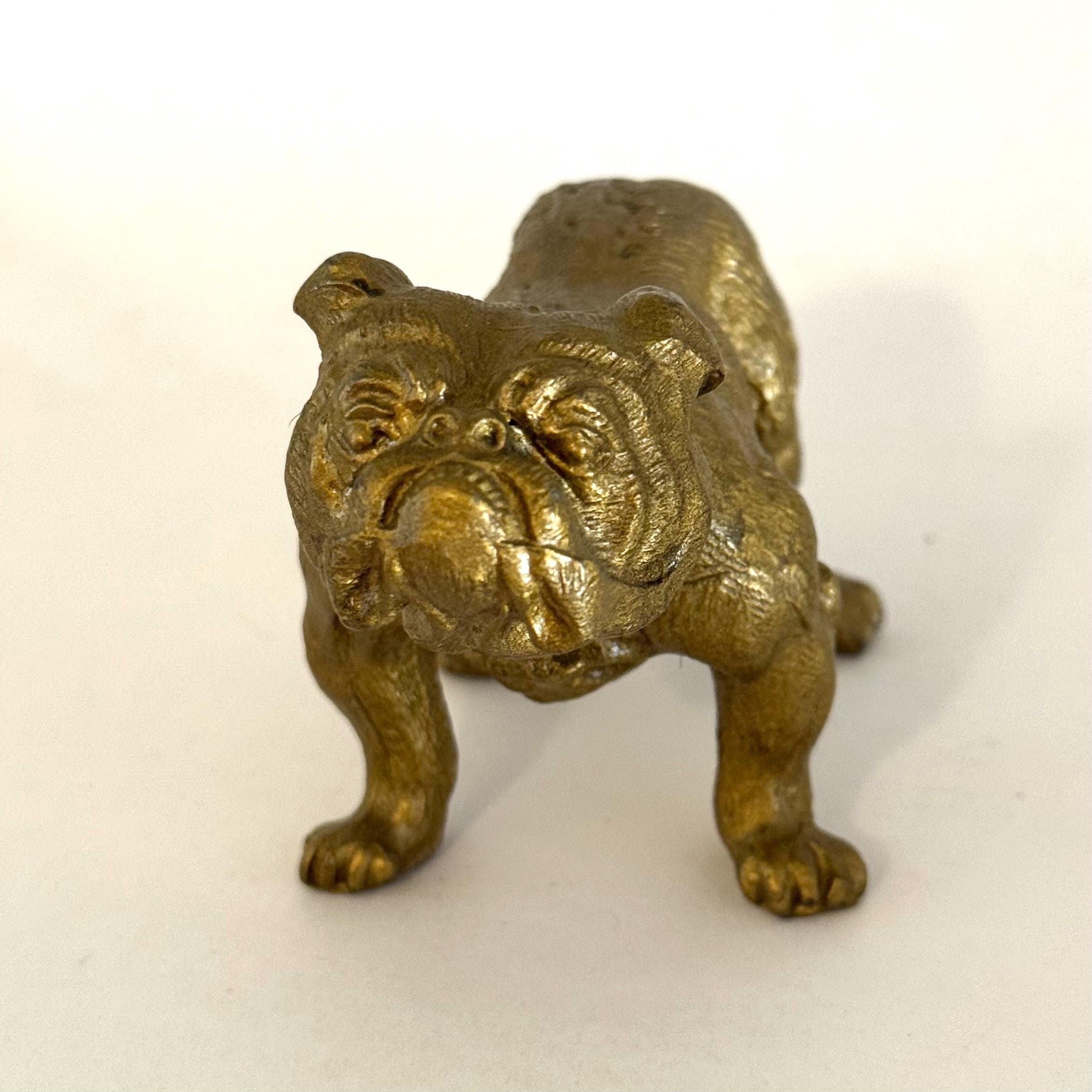 Vintage Brass Bulldog - Etsy