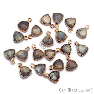Labradorite Connector, Gold Bail Connector, 10mm Trillion Connector, Connector, Jewelry Making Supply, GemMartUSA (LEB-10344)