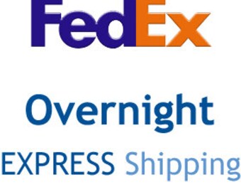 Domestic FedEx Priority Overnight Shipping