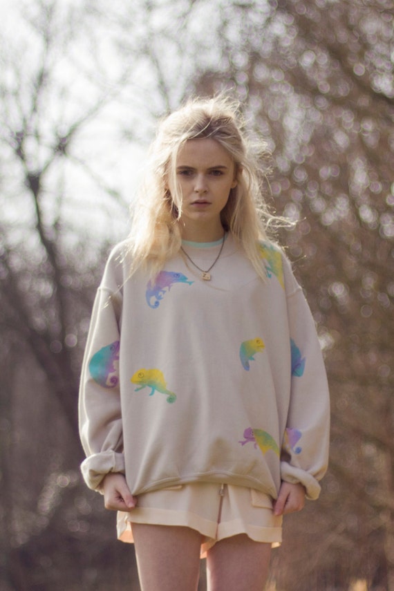 chameleon sweater
