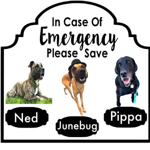 Custom Breed Photo Name Specific Emergency Pet Rescue 1-6 Pets Vinyl Decal - Exterior Window Glass - Home Safety - Donation