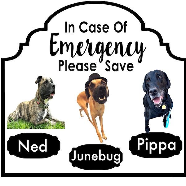 Emergency Pet Rescue 1-6 Pets Personalized Name Real Photo Decal Any Pets Dog Cat more - In Case of Emergency - Save Us - Window - Donation