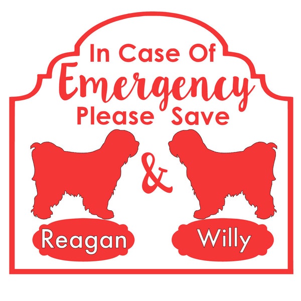 Pet Inside Sticker Etsy