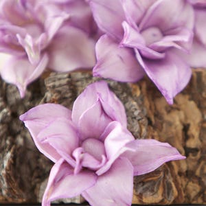 Lavender Star Magnolia Sola Flowers - SET OF 10 , Lavander Flowers, Wood Sola Flowers, Magnolia Sola, Balsa Wood, DIY flowers for crafting