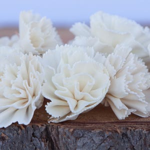 Carnation Sola Flowers - Sold in Sets of 10, 50 & 100