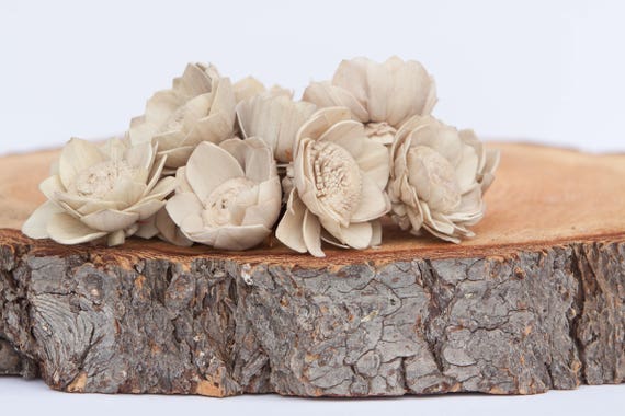 Tan Camellia Sola Flowers- SET OF 30