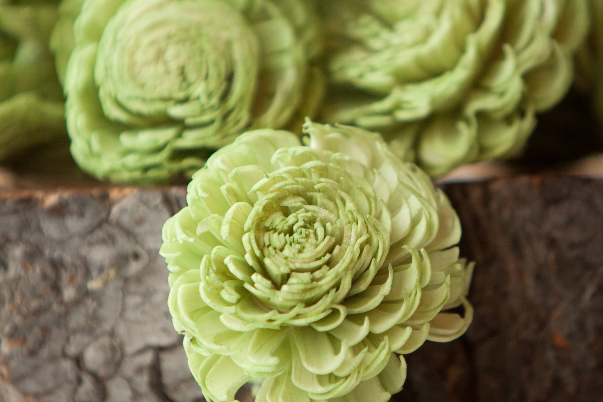 Green Large Chorki Sola Flowers Set of 10, Sola Flowers, Green Chorki