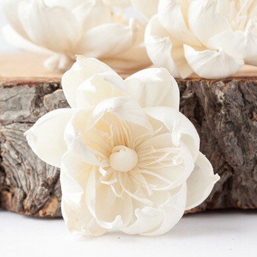 4CM Jasmine Sola Wood Flower Rattan Stick Dried Floral Bouquet Craft DIY Diffuse 