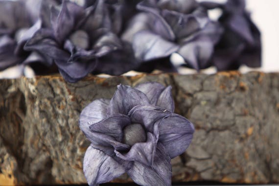 Navy Blue Star Magnolia Sola Flowers - SET OF 40