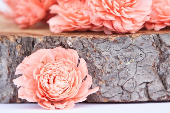 Coral Chorki Sola Flowers - SET OF 50