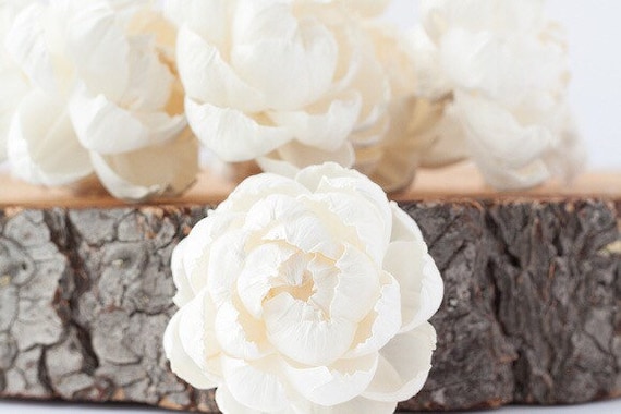 Fresh Peony Sola Flowers