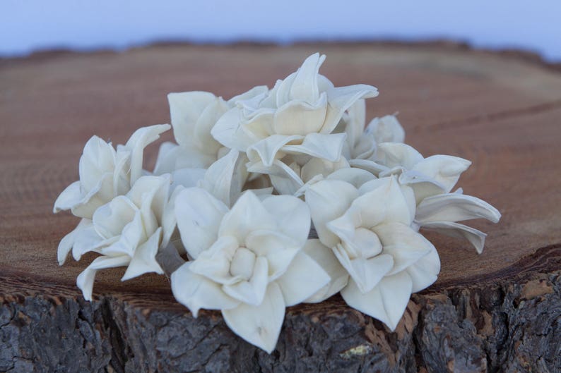 Star Magnolia Sola Flowers Sold in Sets of 10 50 /& 100