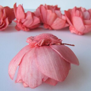 Watermelon Camellia Sola Flowers SET OF 10 , Sola Flowers, Wood Sola Flowers, Camelia Sola, Wedding DIY, Crafting Flowers image 6